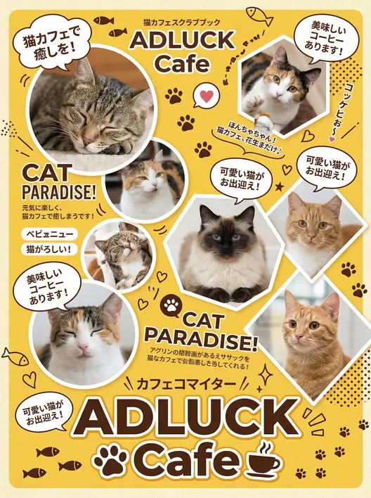预览文件