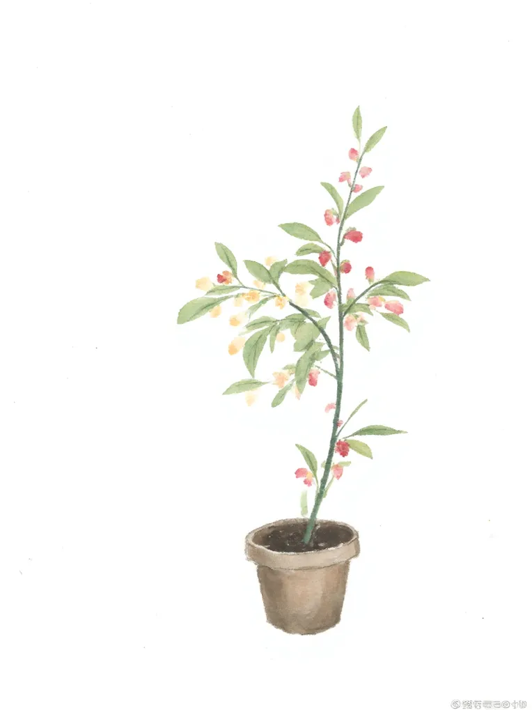 Illustration,Chinese Style,Style Boost,LoRA,FLUX.1