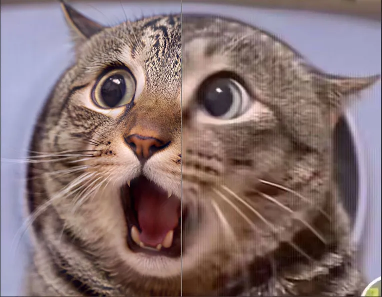 Photography,Realistic,Girl,Controlnet,SDXL