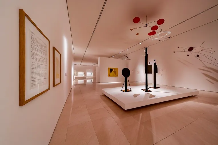 Picasso Exhibition-LoRA-Edwin-Shakker