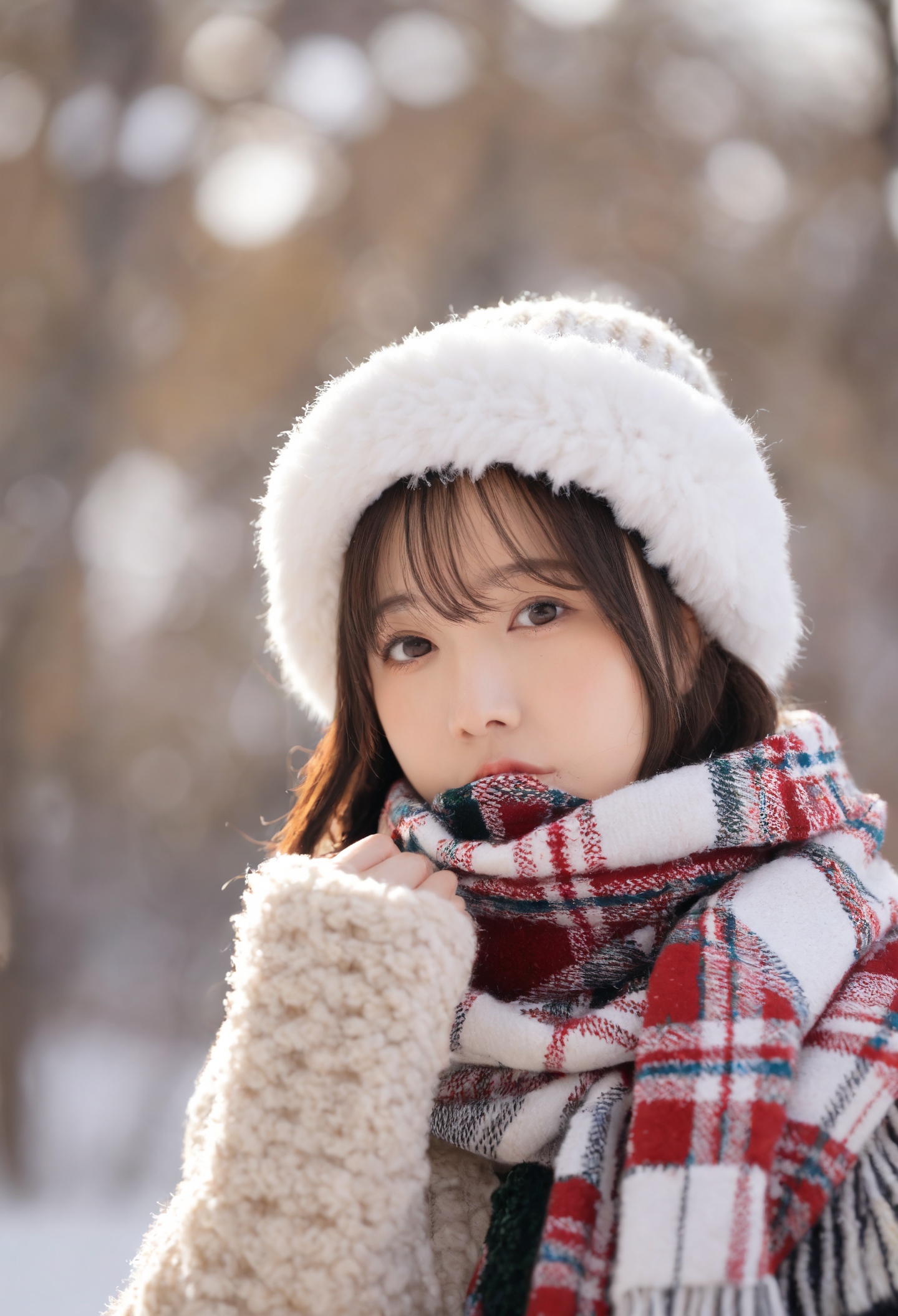 Preview 5
