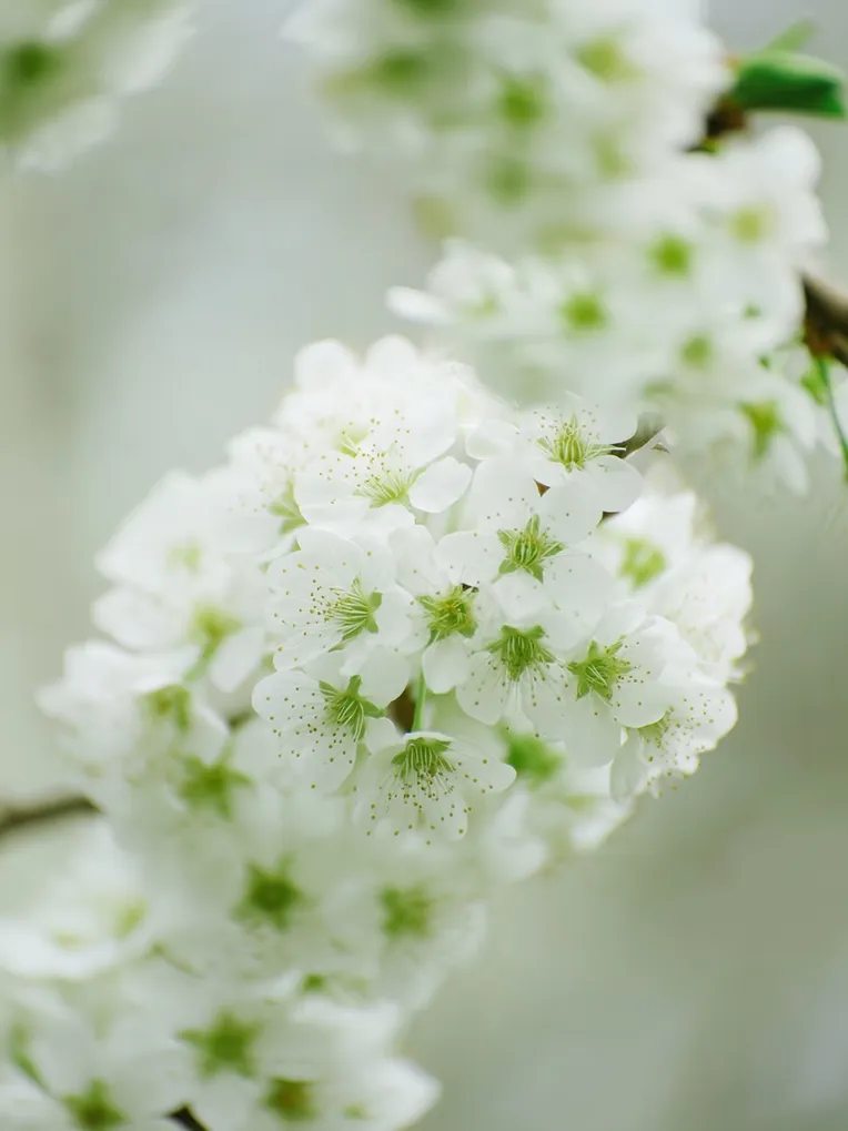 Style & Filter,Object Enhance,Product,LoRA,