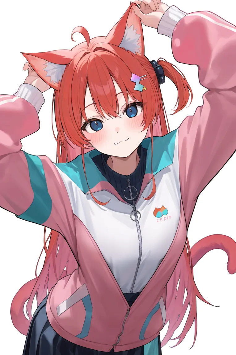 Anime Character,LoRA,Illustrious