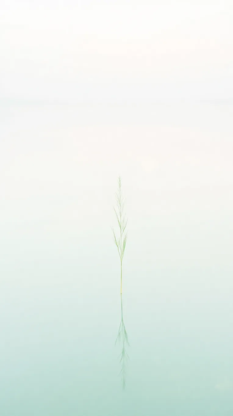 Digital Painting Media,Boy,Style Boost,LoRA,FLUX.1