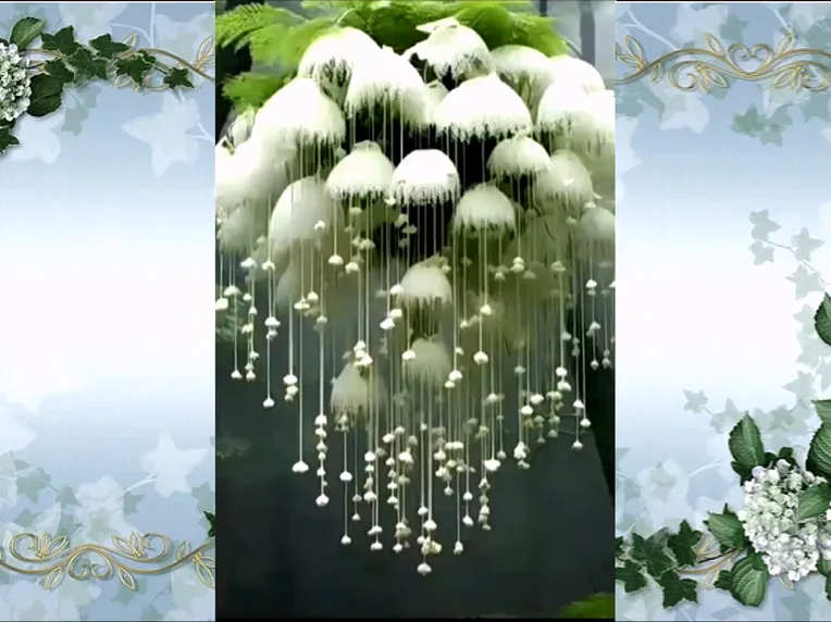 Photography,Realistic,Plant,Aesthetic Gradient,SD 1.5