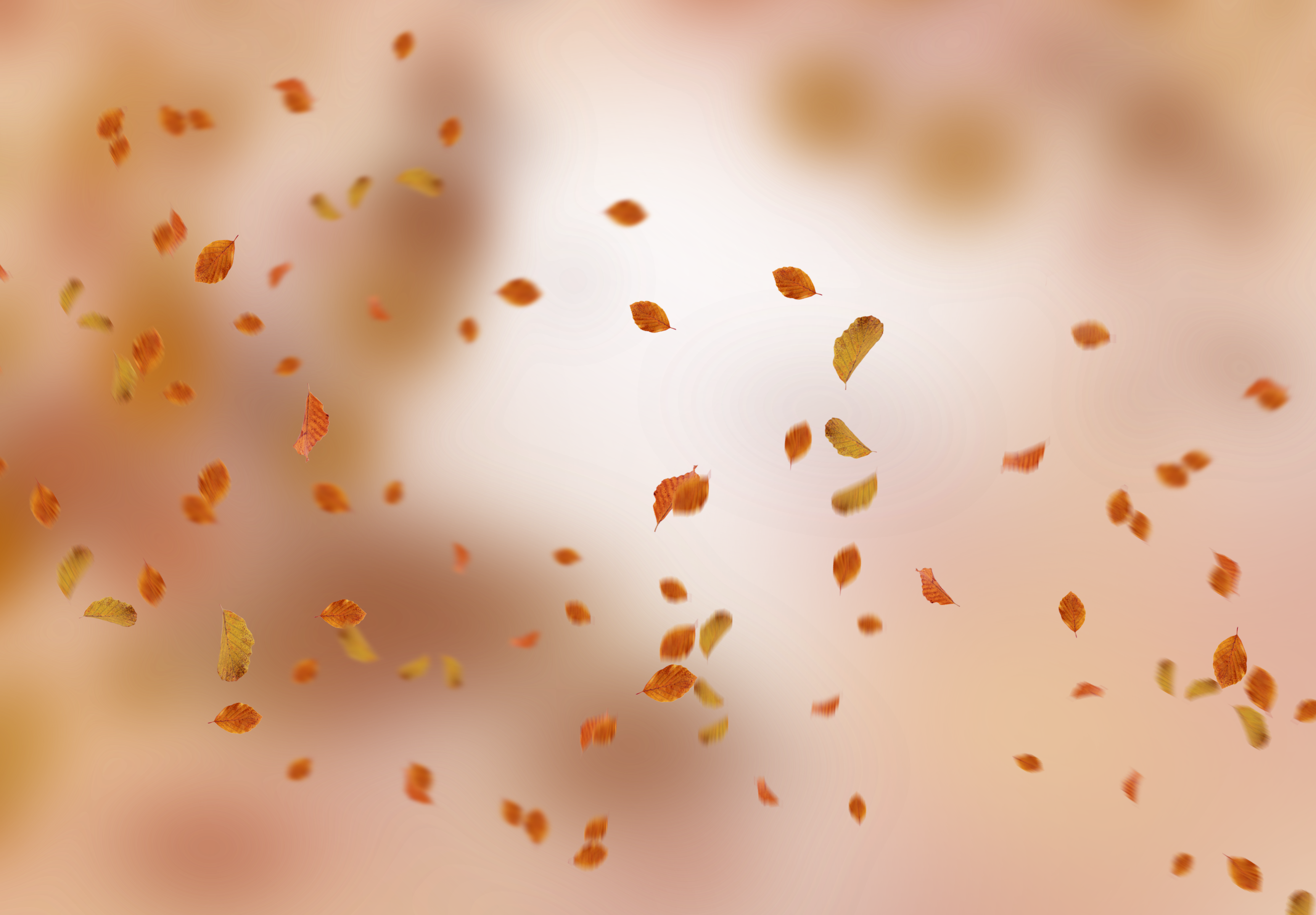 Blend Images 2 | Outdoor Ambiance Falling leaves