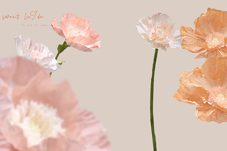 Material 1 from Rongtu Flowers