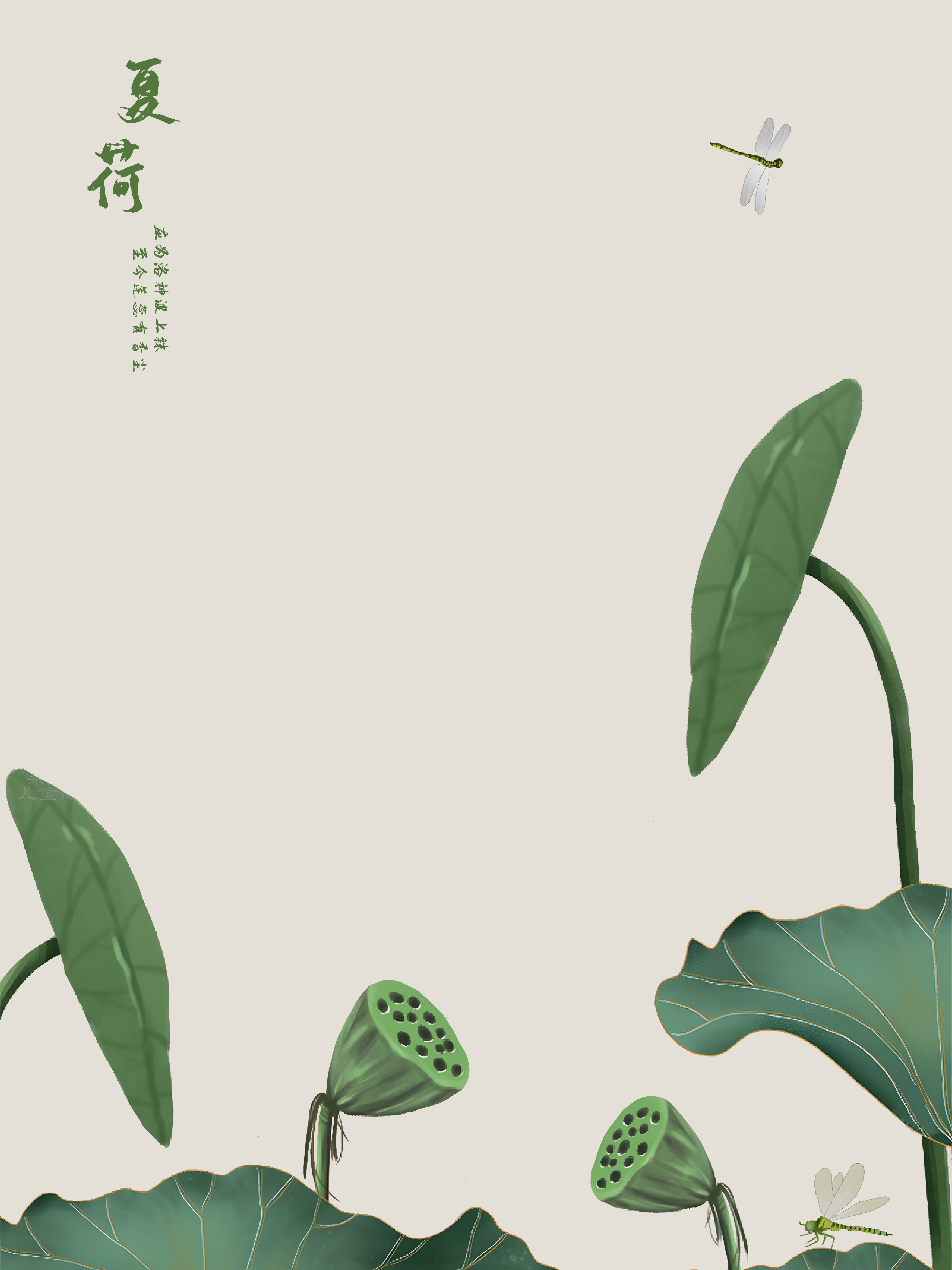 Material 1 from Rongtu Lotus Leaf