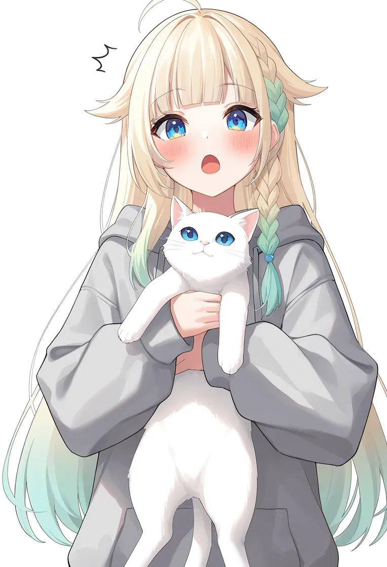 Anime Style,Girl,Style Boost,Checkpoint,Illustrious