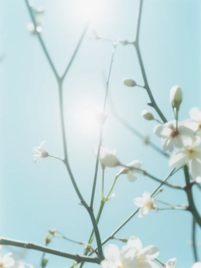 Photography,Style Boost,Food,LoRA,FLUX.1