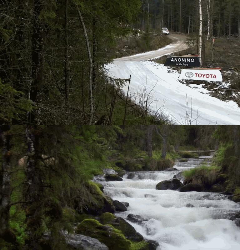 CGI style,Object Enhance,Animal,Workflow,