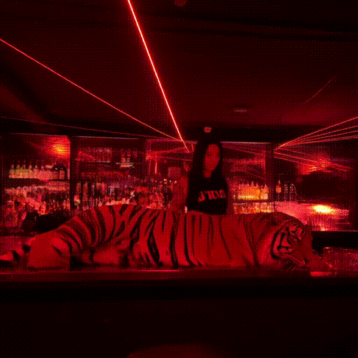 Street Photography,Space & Scene,Object Enhance,LoRA,HunYuanVideo