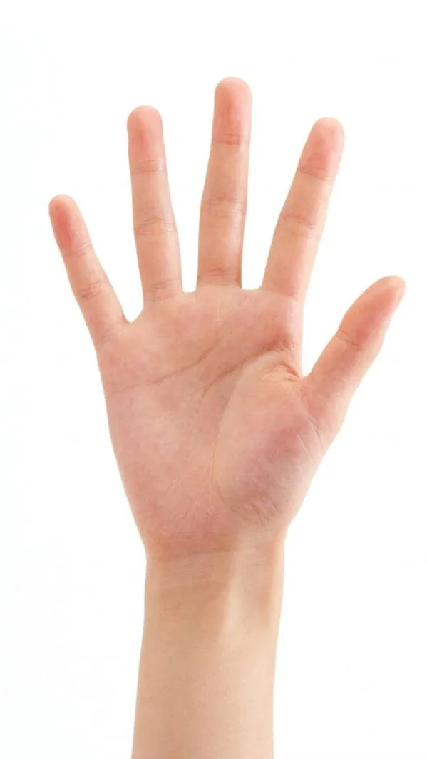 Realistic,Photography,Object Enhance,LoRA,SDXL