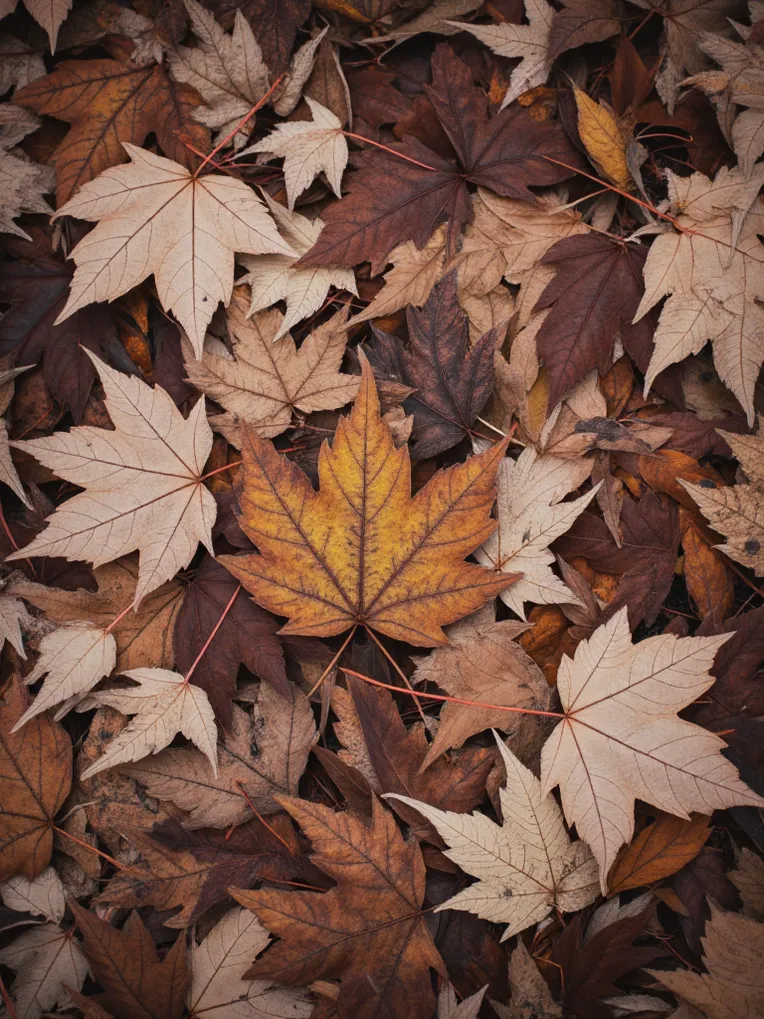 Style Boost,Plant,Nature Photography,LoRA,FLUX.1