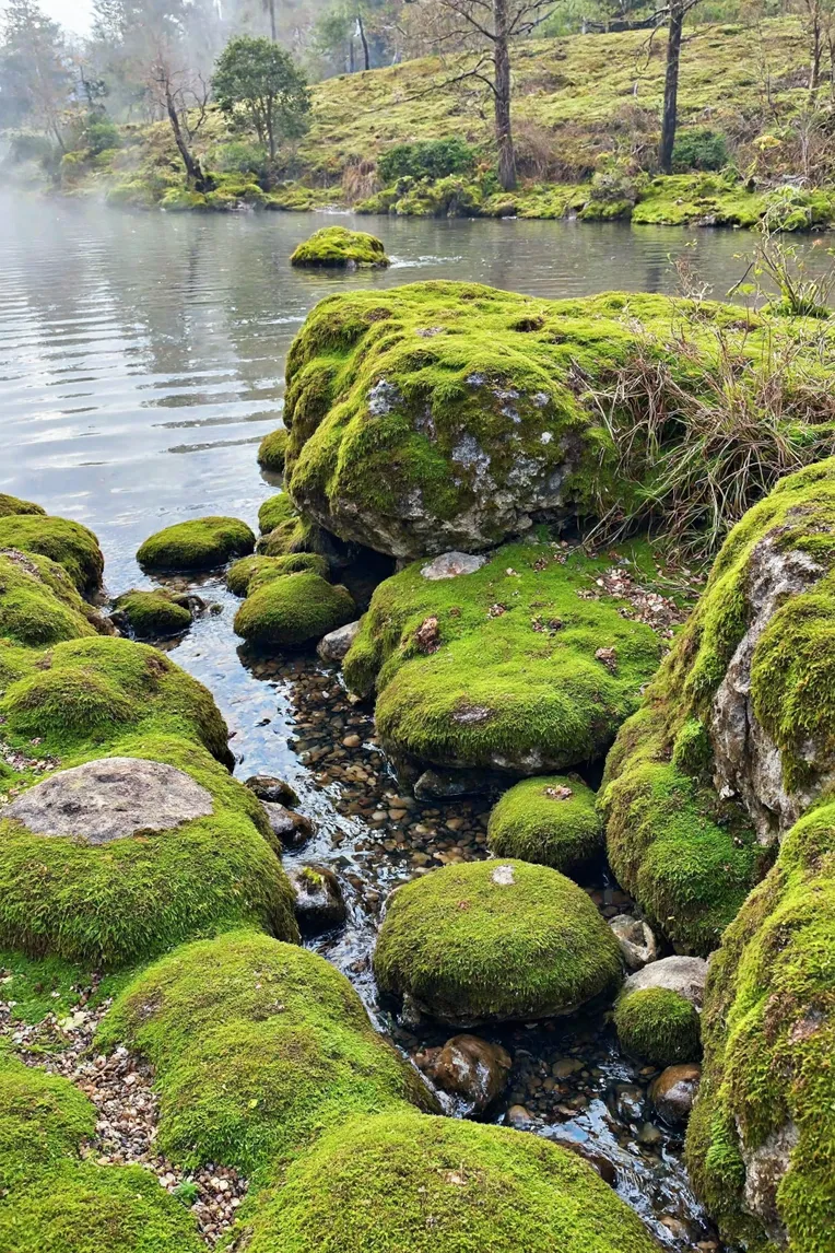 Landscape Design,Space & Scene,Object Enhance,LoRA,FLUX.1