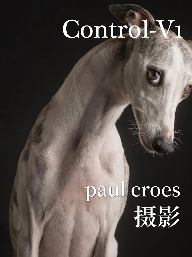 Animal Photography,Object Enhance,Animal,LoRA,FLUX.1