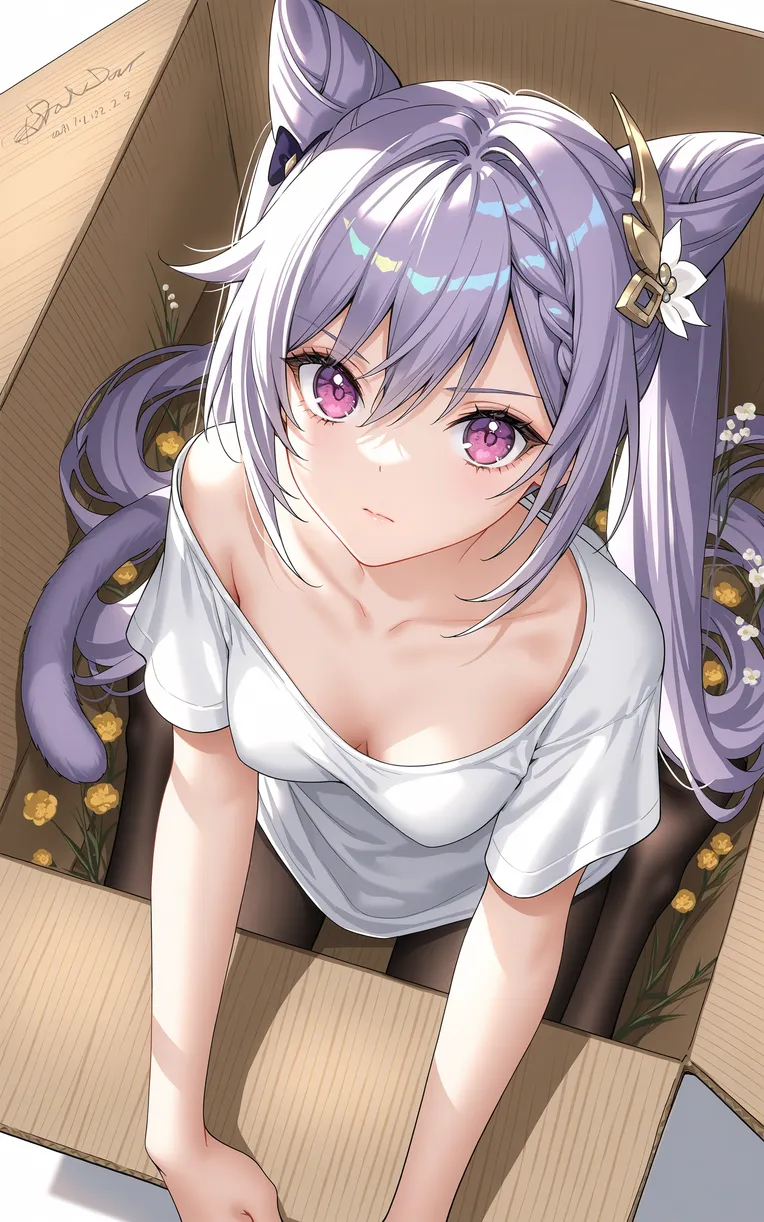 Anime Style,Girl,Object Enhance,Checkpoint,Illustrious