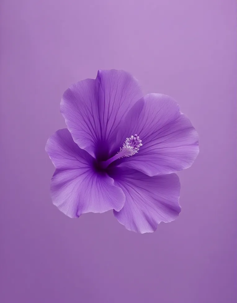 Object Enhance,Plant,Nature Photography,LoRA,FLUX.1