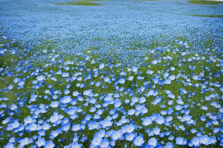 Realistic,Photography,Object Enhance,LoRA,SD 1.5