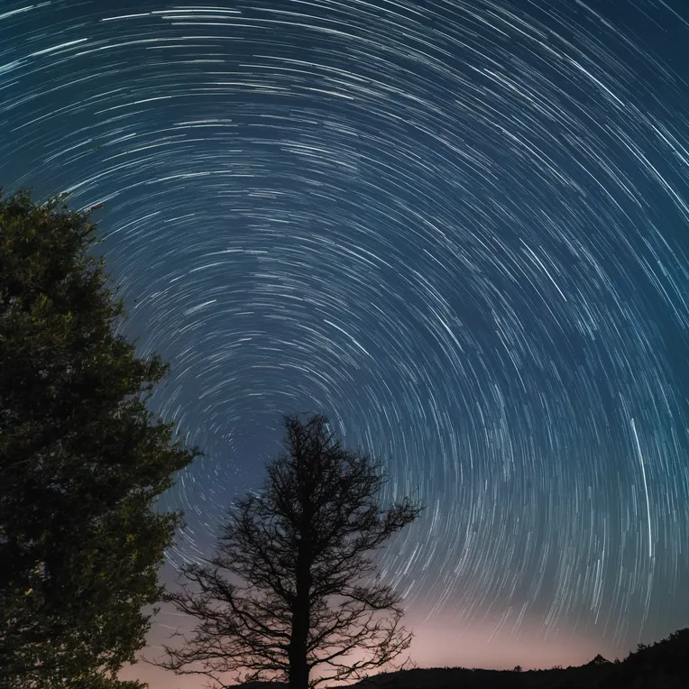 CGI style,Anime Style,Girl,LoRA,SDXL