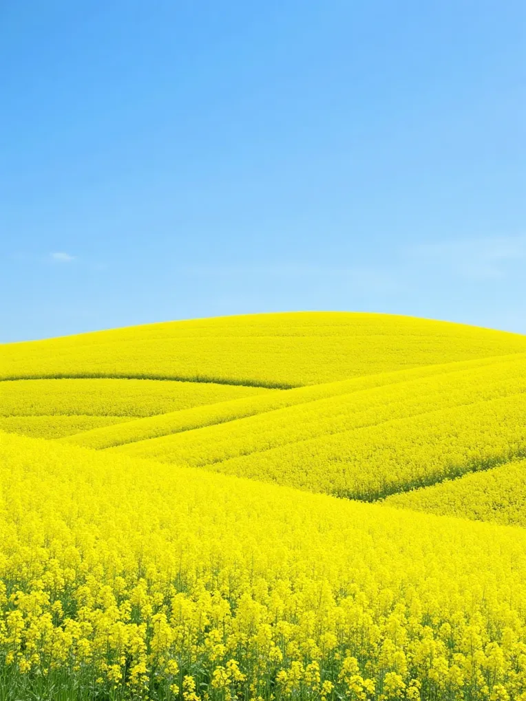 Composition Control,Landscape,Landscape Photography,LoRA,FLUX.1