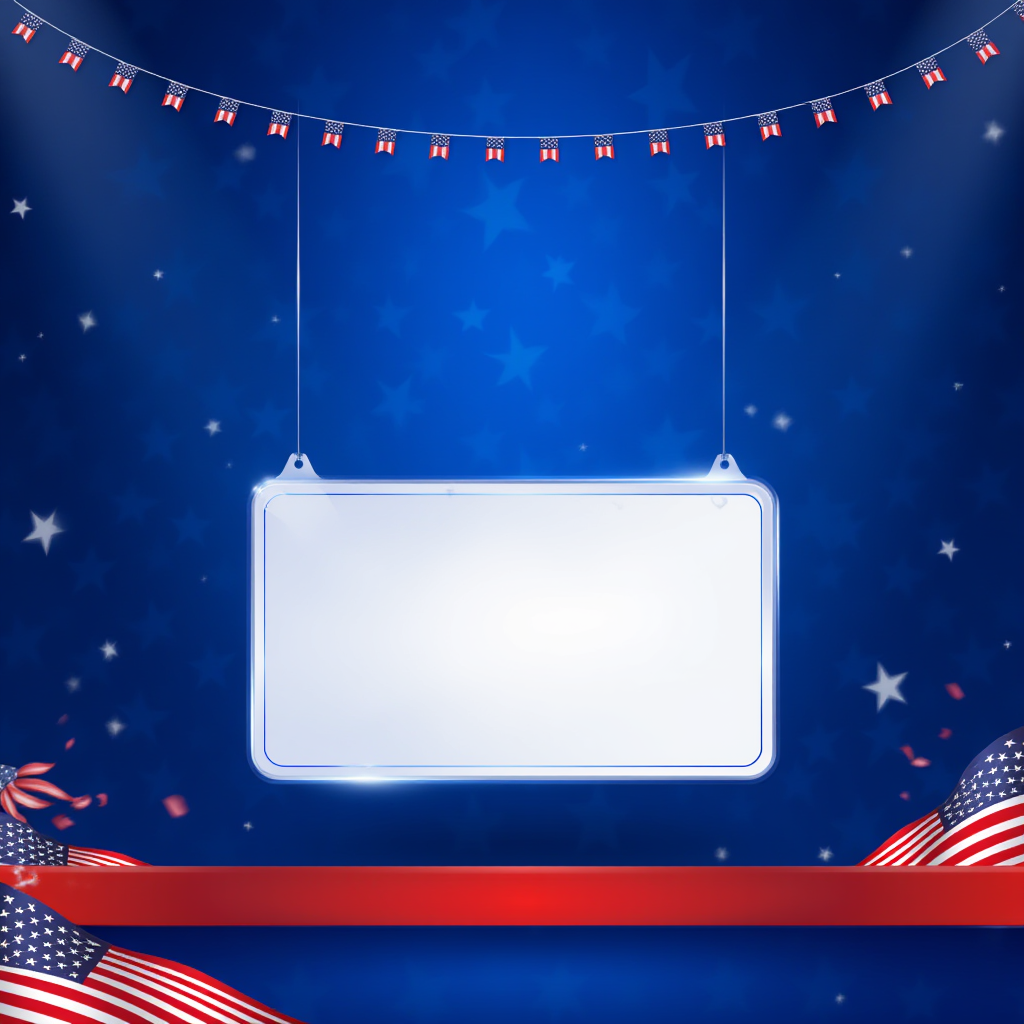 usa v1.0