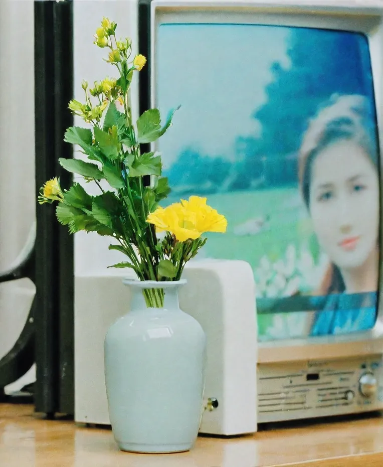 Realistic,Style & Filter,Girl,LoRA,SDXL